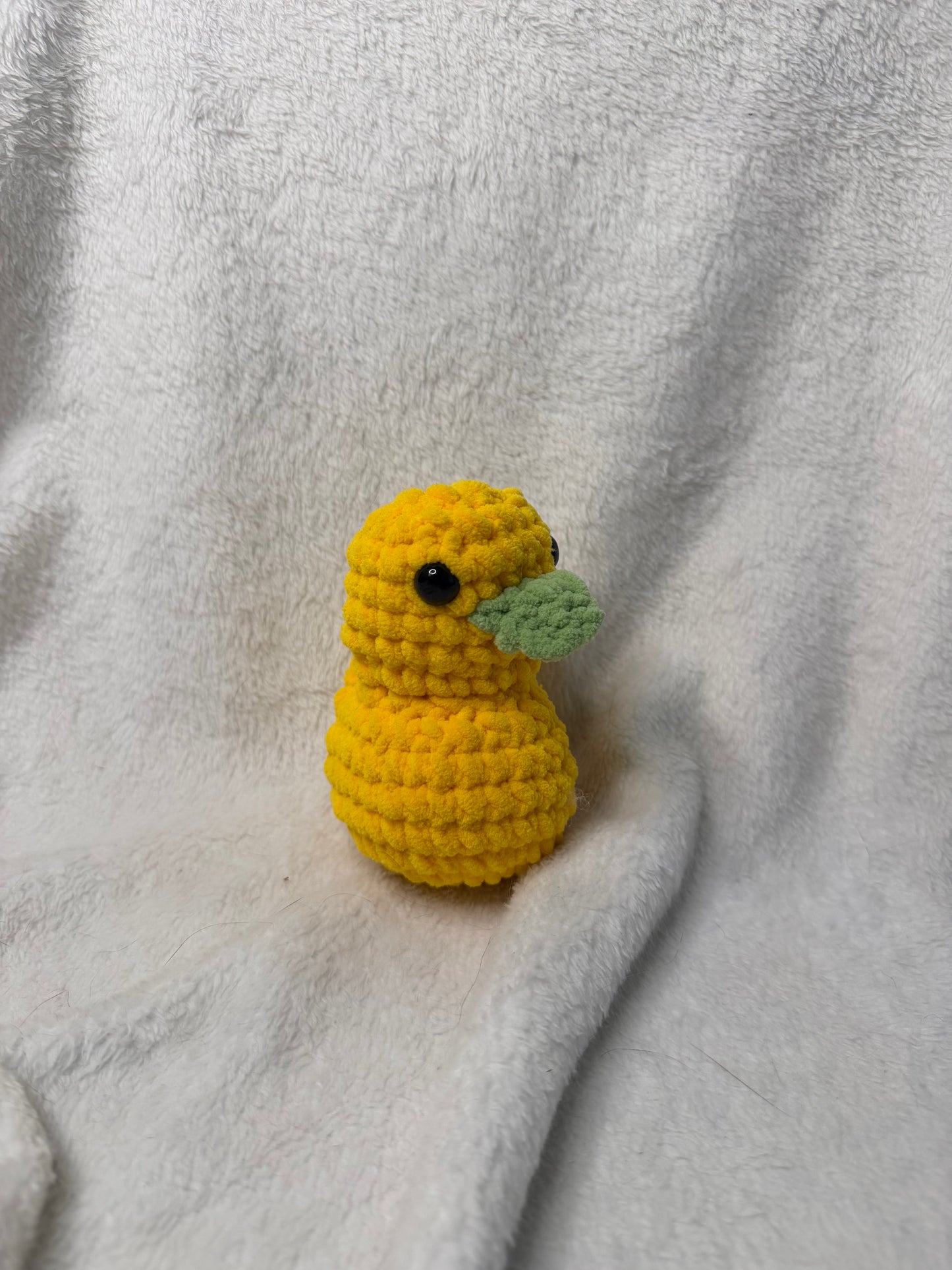 Dandy Duck