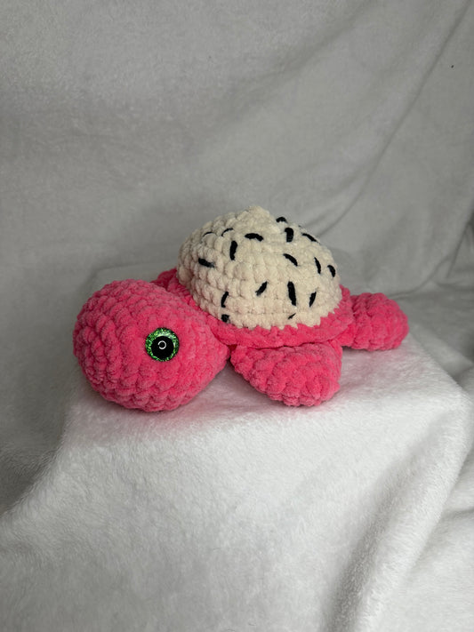 Dragon Fruit Turtle - Large