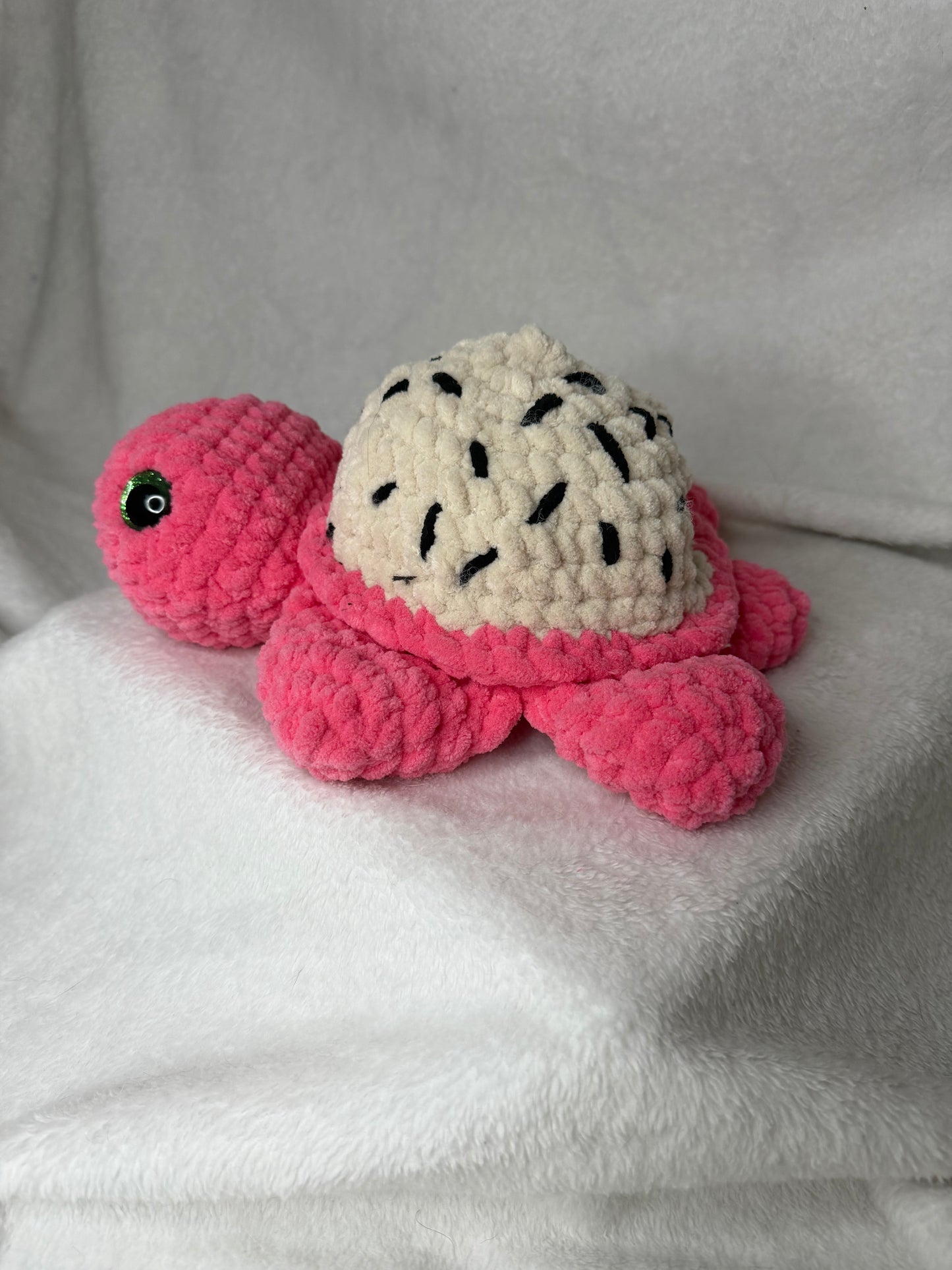 Dragon Fruit Turtle - Large