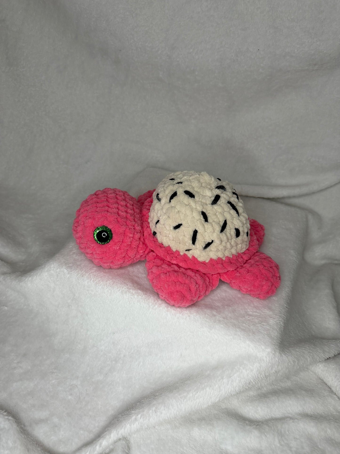 Dragon Fruit Turtle - Large
