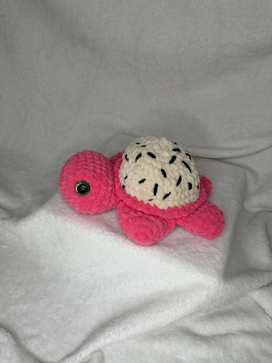Dragon Fruit Turtle - Large