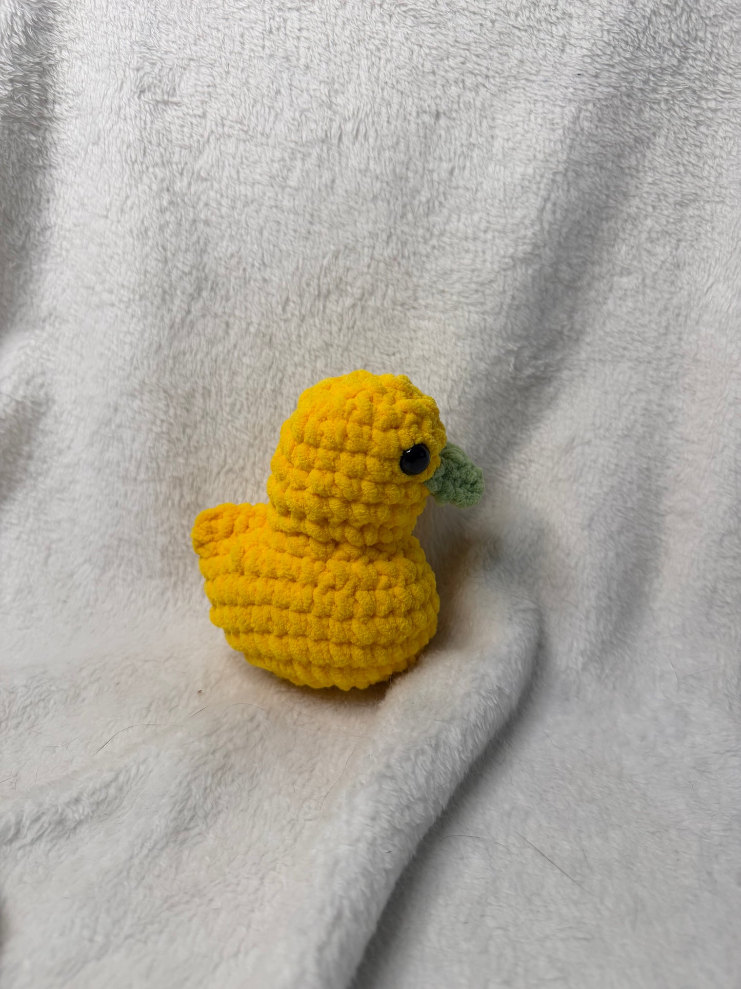 Dandy Duck