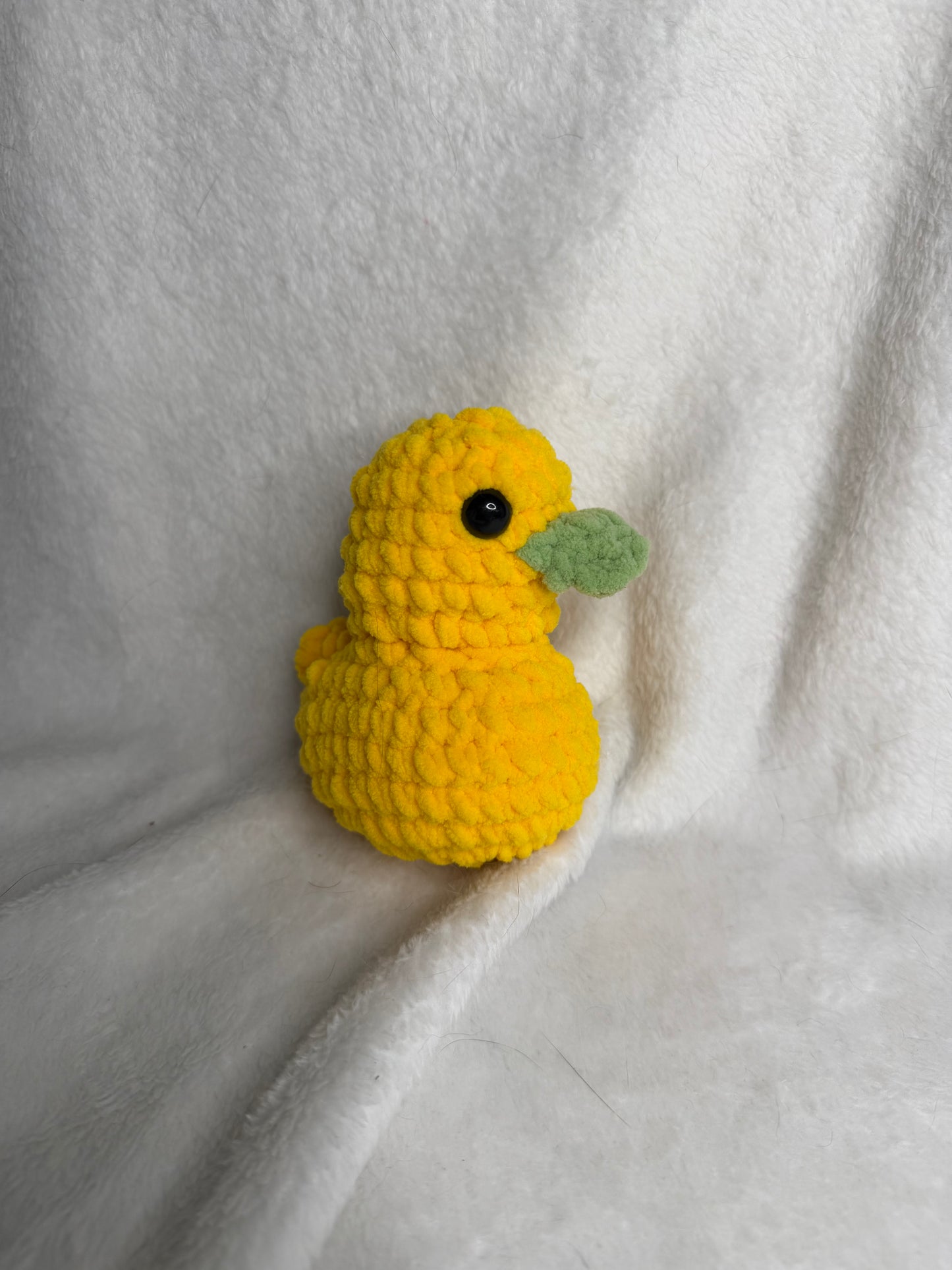 Dandy Duck